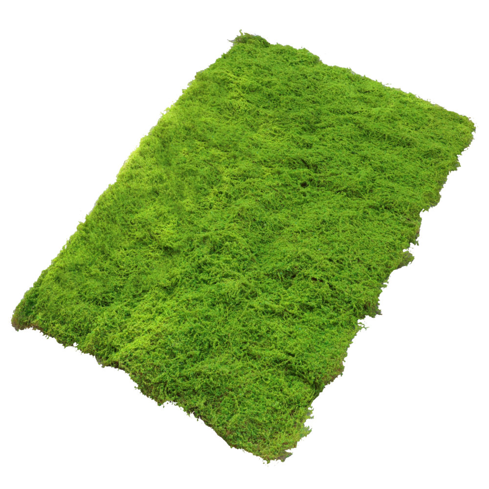 Preserved Moss Sheet - Alfombra de césped artificial con aspecto