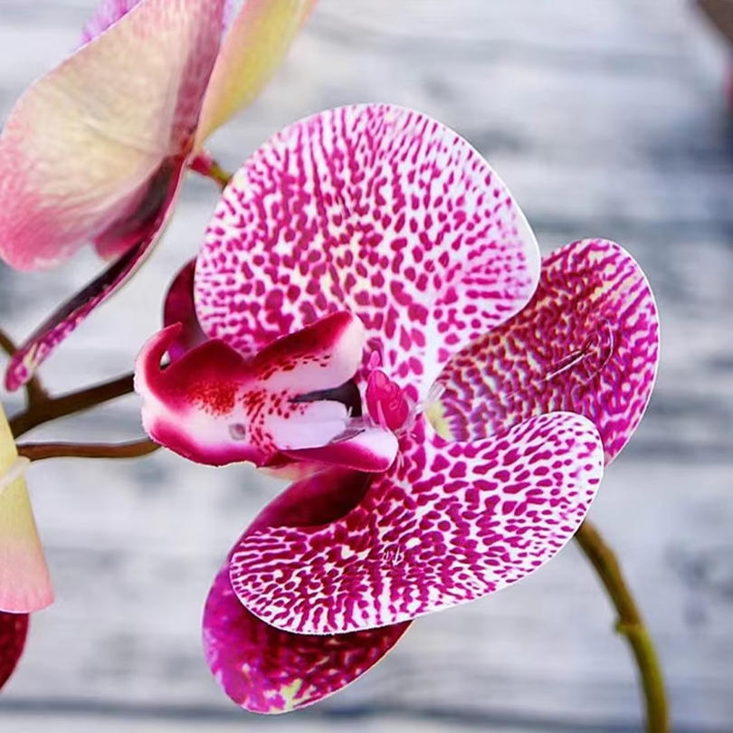 Flores artificiales 3D, maripo - Florist Supply Vases reseña y precio
