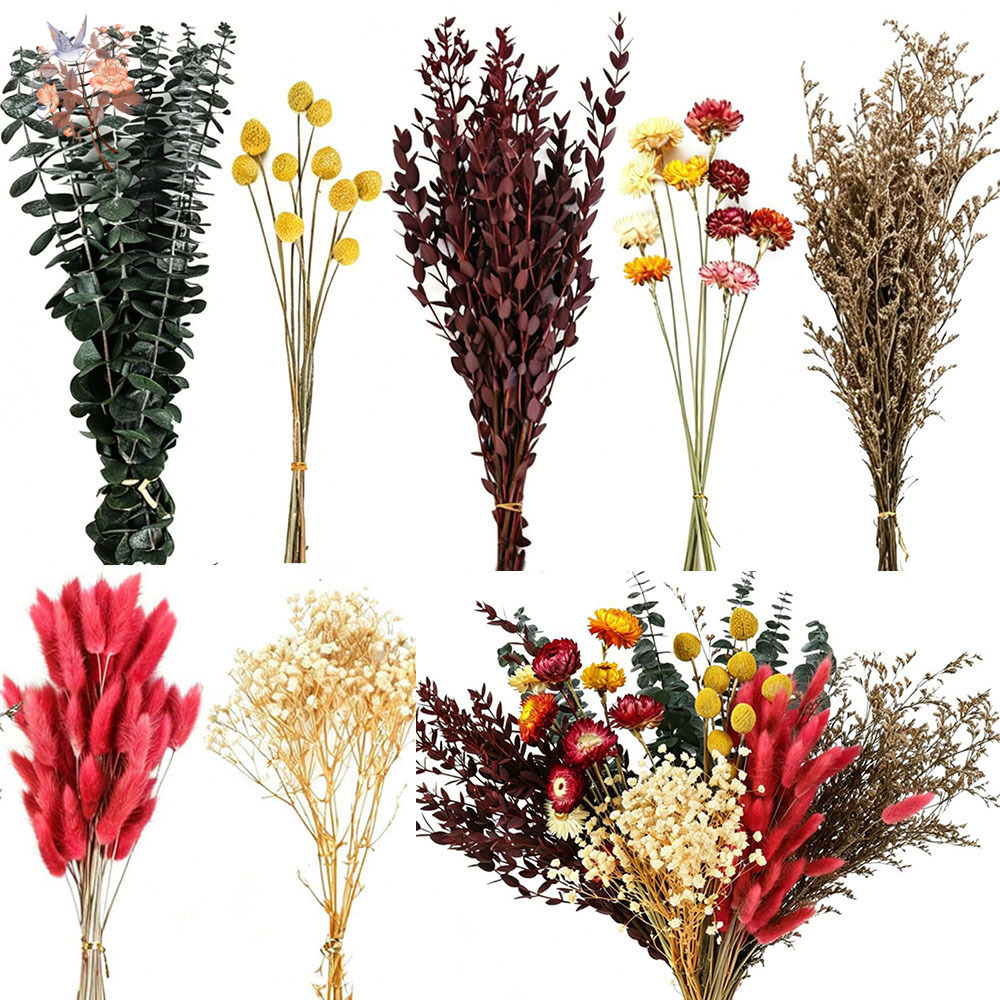 Set de Flores Secas al por May - Florist Supply Bulk reseña y precio