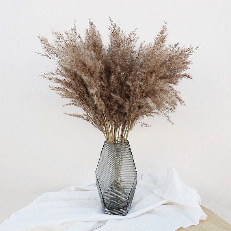 10 Piezas de Cañas Naturales C - Florist Supply Vases reseña y precio